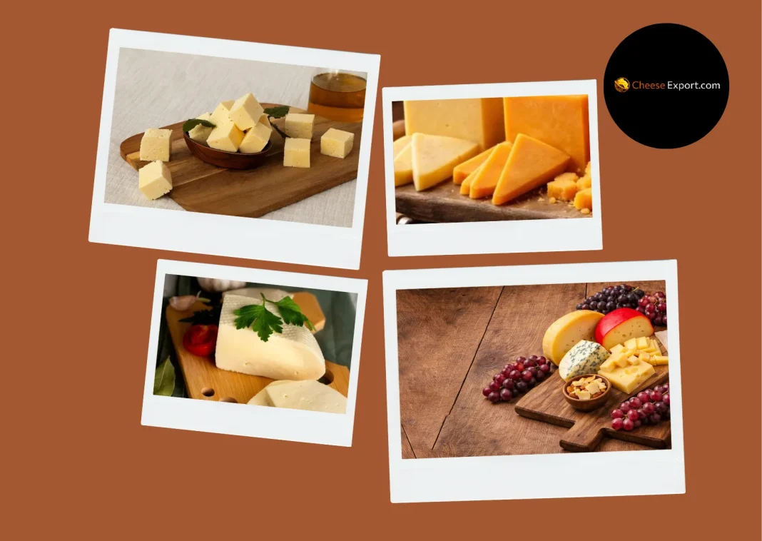 Professional Cheese Export Solutions for Global Dairy Trade Success