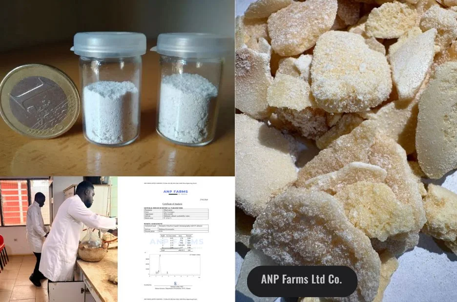 How ANP Farms Ltd Co Ensures Reliable Botanical Supply for Advanced Extraction and Research Projects