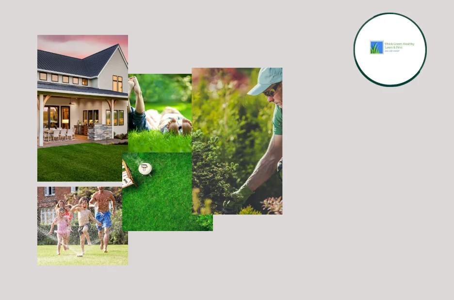 Expert Tips for Professional Lawn Aeration in San Antonio to Boost Turf Health