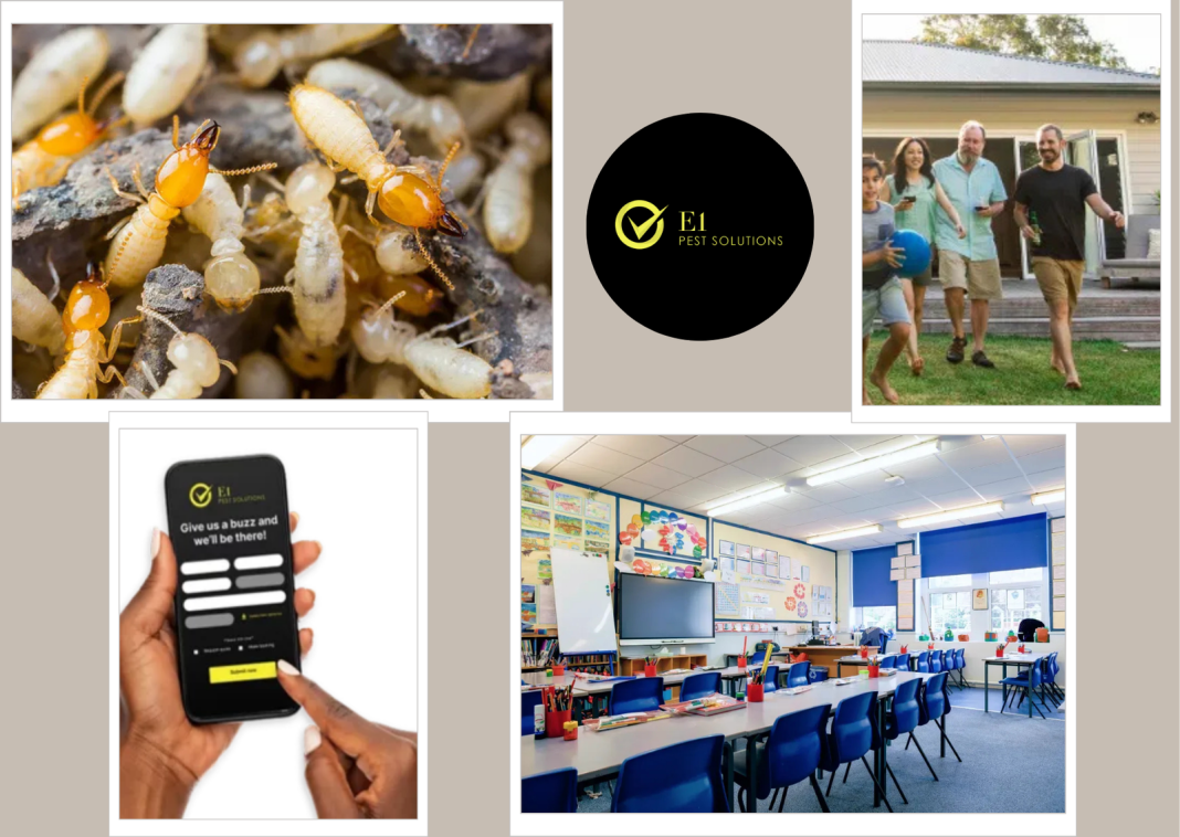 Affordable Ant Control Sydney Cost for Home and Business | E1 Pest Solutions