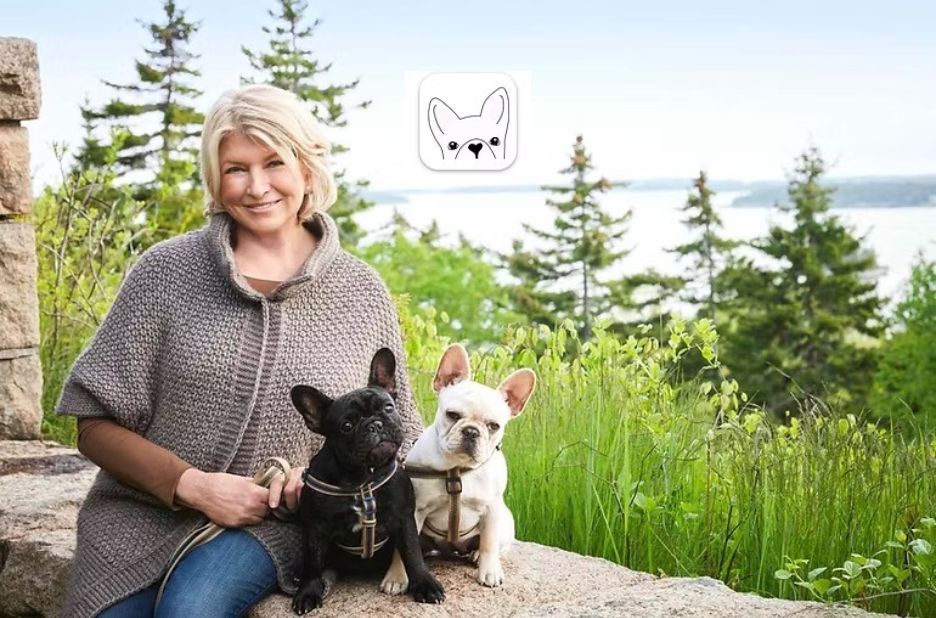 How to Verify DWKC Papers Before Buying a French Bulldog