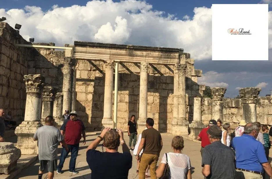 Garden of Gethsemane in Jerusalem: Compare Holy Land VIP Tours Visit Options