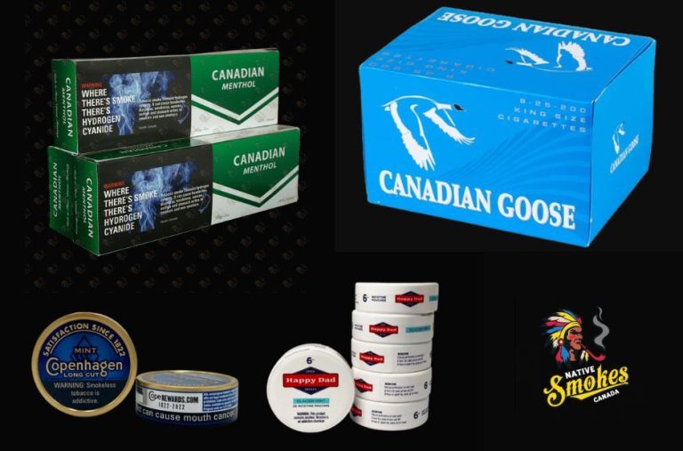 Expert Picks for Geek Bar Vapes in Canada with Fast Delivery