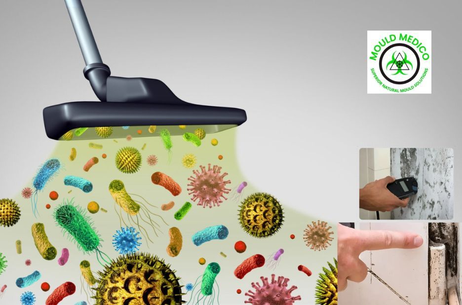 Trusted Damp Proof Course Repair Services on the Sunshine Coast by Mould Medico