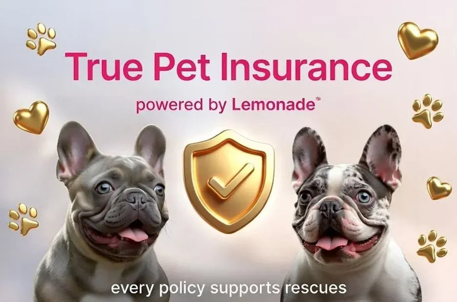 True Panion Pet Insurance for Local Pet Families: Coverage, Claims, and Support