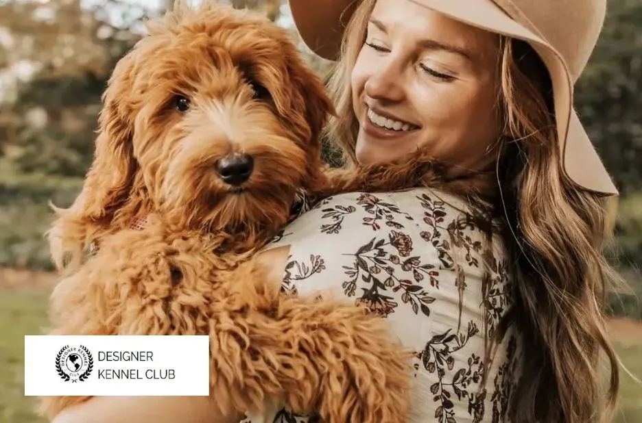 Expert Advice for CKC Registration at Designer Kennel Club Guest Post