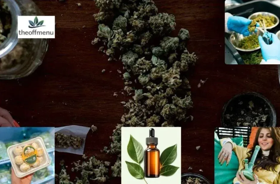 Cannabis Subscription Canada: Expert Tips for Retaining Customers with Convenient Deliveries