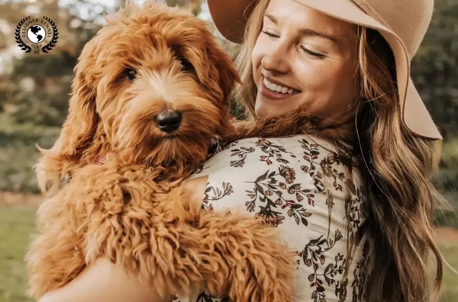 How to Get Papers for a Dog Without Papers: Key Benefits and Next Steps