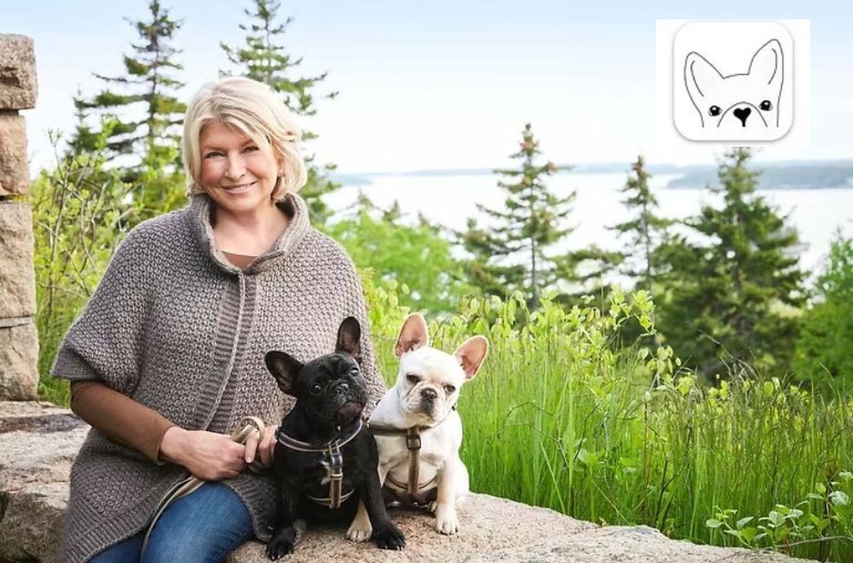 How to Get Papers for a Dog: Choosing the Right Registration Service