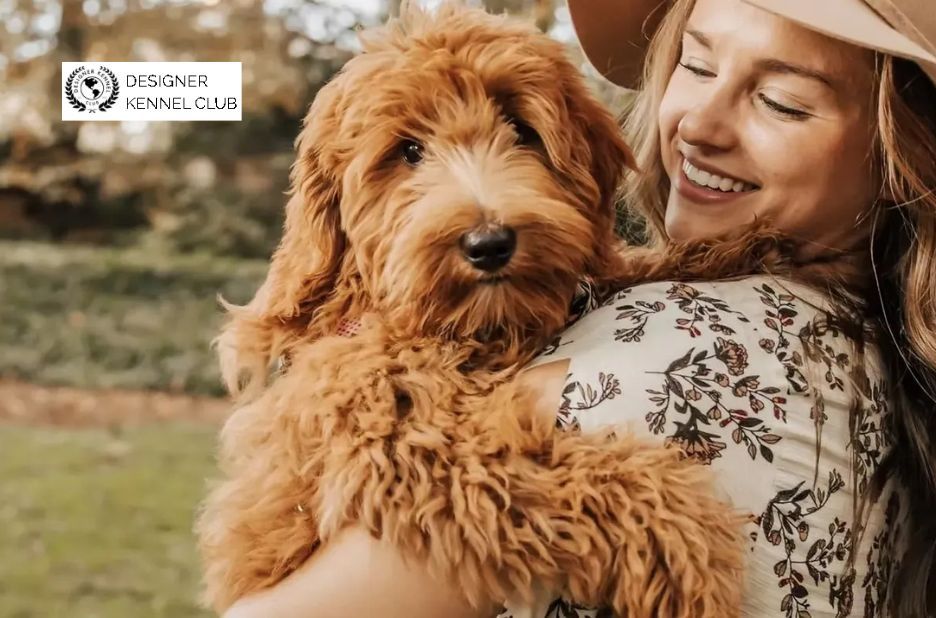 How to Register a Dog Without Papers: Step-by-Step Options and Requirements