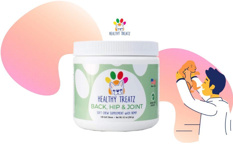 Best Joint Supplements for French Bulldogs: Compare Ingredients for Senior Mobility