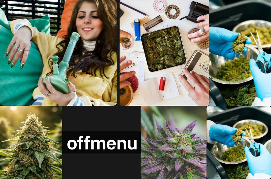 Online CBD Oil Stores in Canada: Shop Conveniently