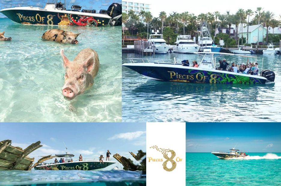 Swim With Pigs Bahamas Nassau: Fix Your Nassau Itinerary with Pieces of 8 Tours Ltd