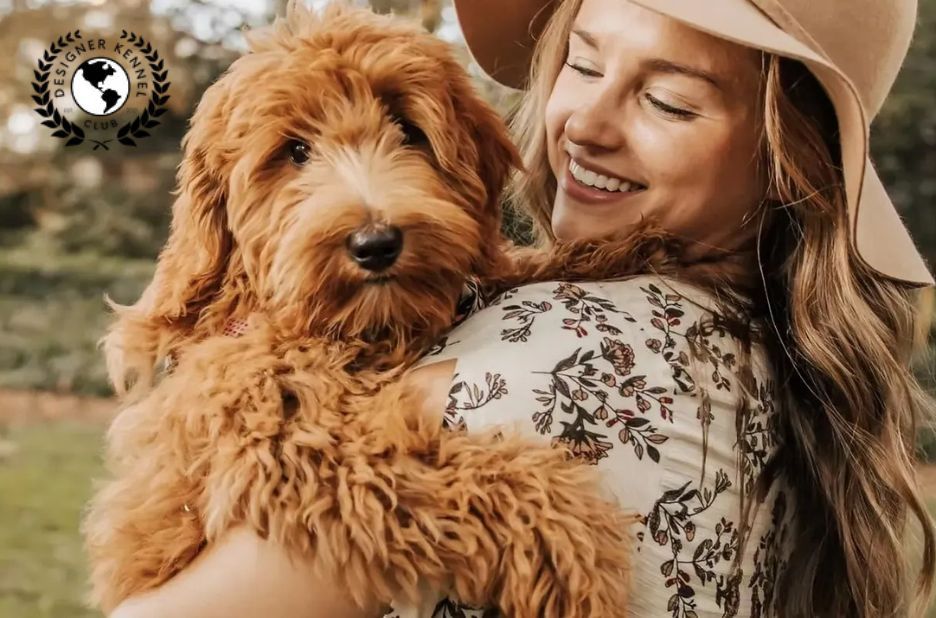 How to Get Dog Registration Papers Without Existing Documents