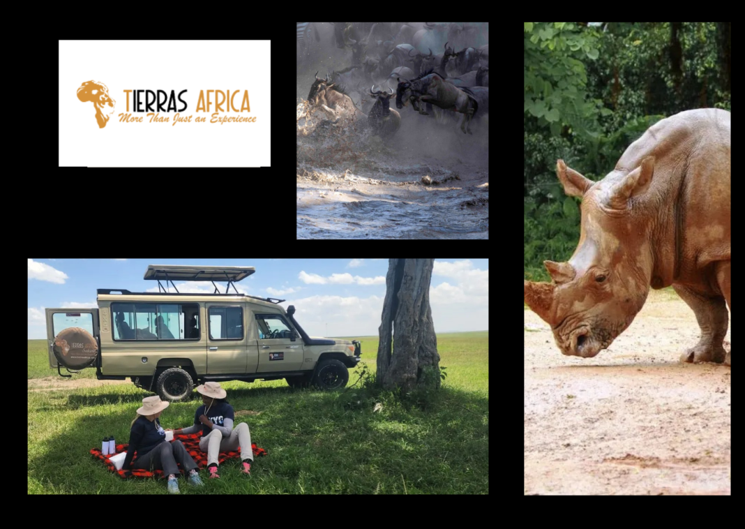 Luxury Kenya Safari Benefits: Upgrade Your Journey