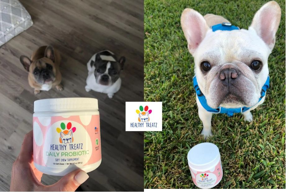 Trustworthy Hemp and Glucosamine Support for Dog Joints