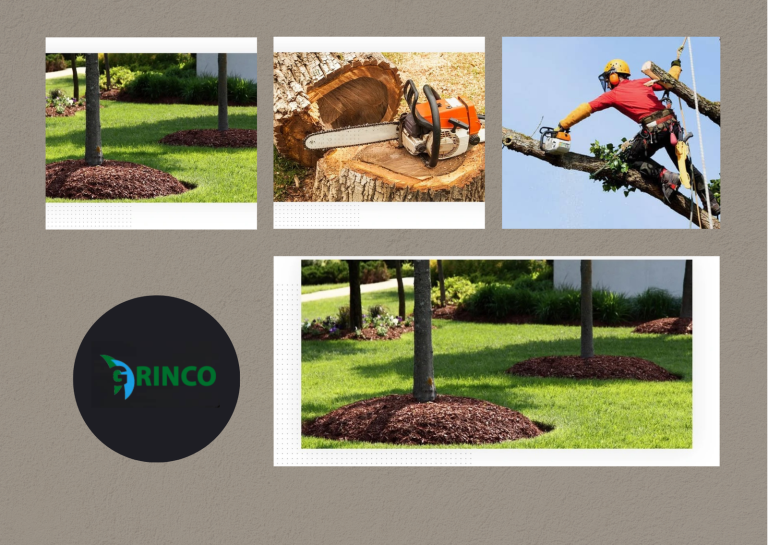 Palm Tree Cutting Service for Safe, Neat Results in AU
