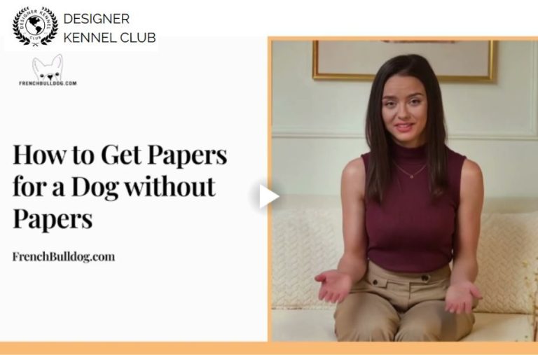 Benefits-First Guide to Papers for Unregistered Dogs