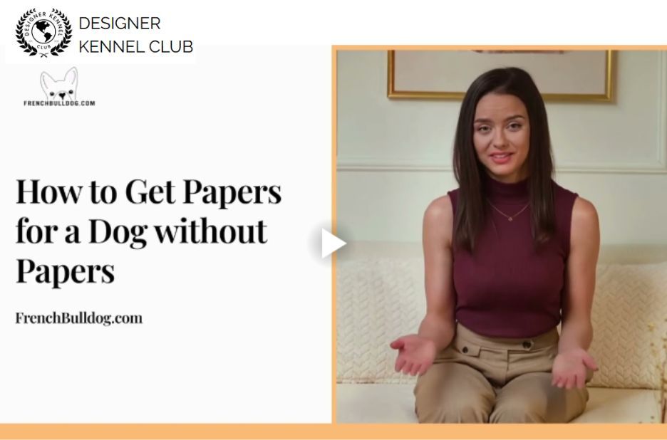 Benefits-First Guide to Papers for Unregistered Dogs